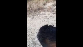 Beach Head with Cum