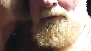 Hairy bears passionate kissing