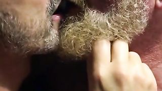 Hairy bears passionate kissing