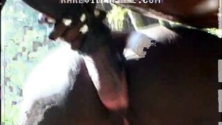 Horse Fucks Ebony Ass